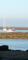 Things to do - Wells-next-the-Sea is on the north Norfolk coast between Holkham and Blakeney  - great for birdwatching, walking, rambling, sailing,nature reserves and dogs 